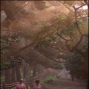 어여가세 이미지