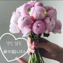 5해피