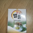 강원도양구벌꿀