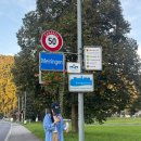 자유할인마트 | 스위스 자유여행 중 도전한 인터라켄 패러글라이딩 할인 가격 후기