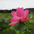 진안천물길 이미지