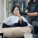 로데오스파 | 범계역 미용실 추천, 하리무드 범계본점 아윤채 풀코스 클리닉 헤드스파 후기