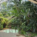 카페게이트원흥지식산업 | 서울식물원 아이랑 가기 좋은 온실 후기 마곡 실내 가볼만한곳