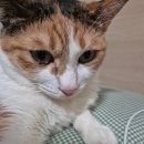수퍼빈(주) - 6598 | 26년 6월 22~28일 [피로는 언제 사라지나요?]