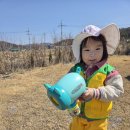 해오름농장 이미지