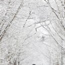 송화목장 이미지