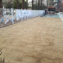 호산초등학교 병설유치원 이미지