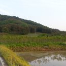 천원부동산공인중개사사무소 이미지