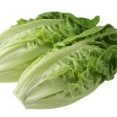 로메인