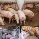 KB바이오 네이버블로그