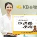 KB손해보험, KB금쪽같은 펫보험 출시 이미지