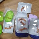 인터렙타일 이미지