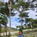 &#34;이제는 집 밖으로 나갈 수 있어요&#34; – 휠체어 대여 후 따뜻한 후기 이야기