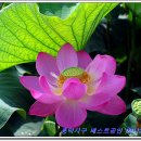 흥덕1번지공인중개사사무소 이미지