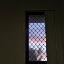 한인농장 | 헬불쳐 : 호주 워홀 딸기농장 한인컨트렉터 후기 (카불쳐, 비어와, 실체)