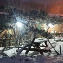 송화네민박 이미지