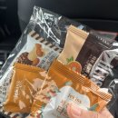 유림농장 | 서울 근교 촌캉스 안성 펜션 솔향기흙내음 내돈내산 우정여행 후기