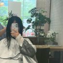 화연 - 평택시 영신2길 39 | 아이디헤어 하남미사점 | 화연 디자이너 매직셋팅펌 받은후기