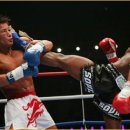 투혼복싱킥복싱 이미지