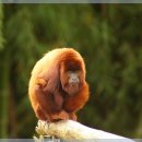 더하다 헤어살롱 이미지