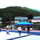 무릉도원면-9 이미지