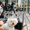헬로우버디 광교점 이미지