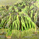 11215-구의2-소능경로문화센터07 | 경주역사유적지구(남산) -09. 남산 대표적 산행코스 안내 (2025. 07.)