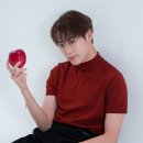 그라치아 카카오 검색결과