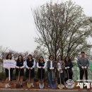 증평여자중학교 이미지