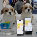 ㈜에이아이헬스케어 이미지