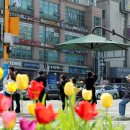 그늘막12 이미지