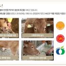 행복하누 이미지