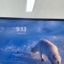 여우야문구 이미지