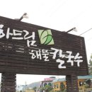 하드림