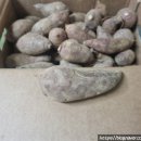 진선농장 이미지