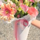 중앙동257 이미지