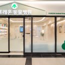 포레온 동물병원 이미지