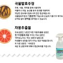 21세기편의점 이미지