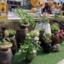 성서중심시장 이미지