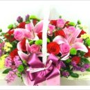 꼬까신운동화세탁소 이미지