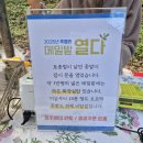 하얀메밀꽃 | 청주 추정리메밀밭 10월만개! 하얀 메밀꽃 물결 속 가을감성여행 (10월 15일 방문 후기)