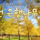 까치울마을4단지주차장 이미지