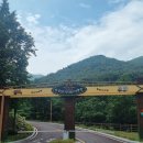 하선암 카라반 야영장 | 단양 하선암 카라반야영장 이용후기 (사이트 14)