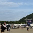 댕댕클라스 | 제29회 부산바다축제 🌊 앨리스도기와 함께하는 선셋멍파크🌱