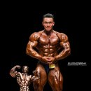 도원 휘트니스 이미지