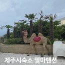 델마펜션까페