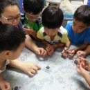 와동초등학교 이미지