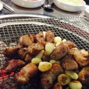 황소고집 이미지