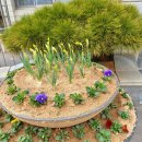 이석구농장 이미지