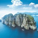 동화여행사